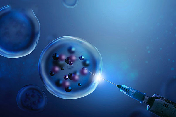 干细胞研究的领域有哪些,干细胞研究领域的重要成果？