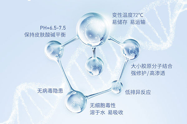 广州干细胞冻存液配制,广州干细胞冻存液配制厂家？